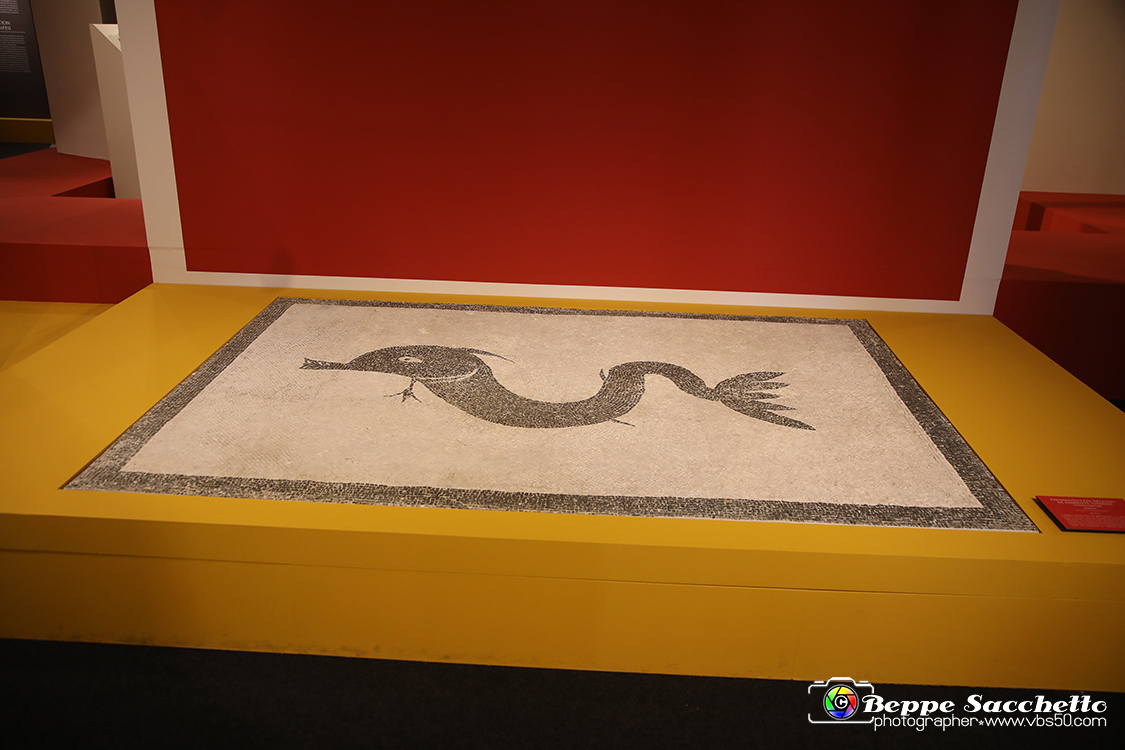 VBS_8990 - Mostra Invito a Pompei.jpg